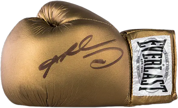 Sugar Ray Leonard Signed Gold Everlast Boxing Png Boxing Glove Png