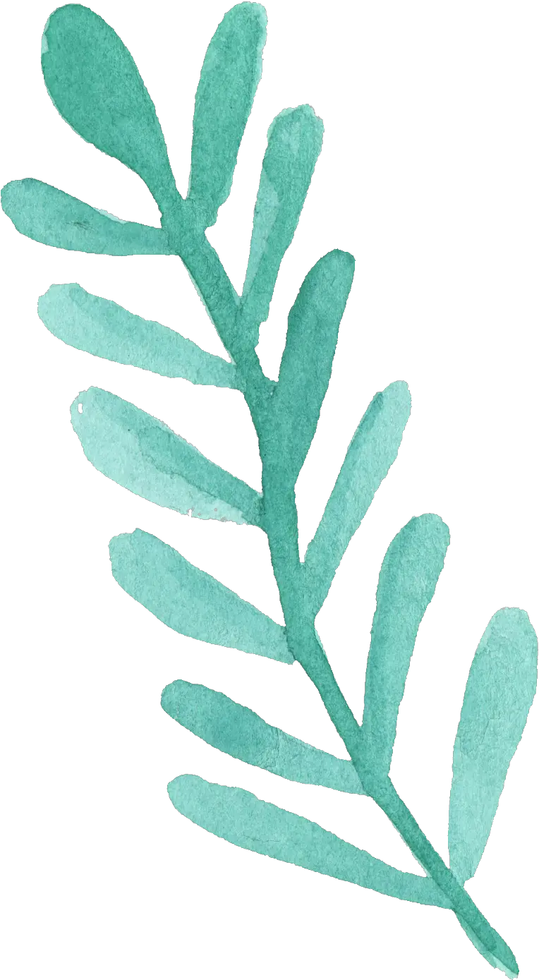 Download 25 Watercolor Leaf Png Transparent Vol 3 Onlygfxcom Watercolor Leaf Blue Leaf Png png