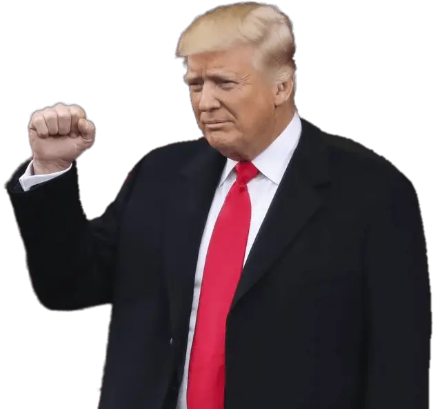 Download Hd Donald Inauguration Donald Trump Transparent Background Png Trump Png