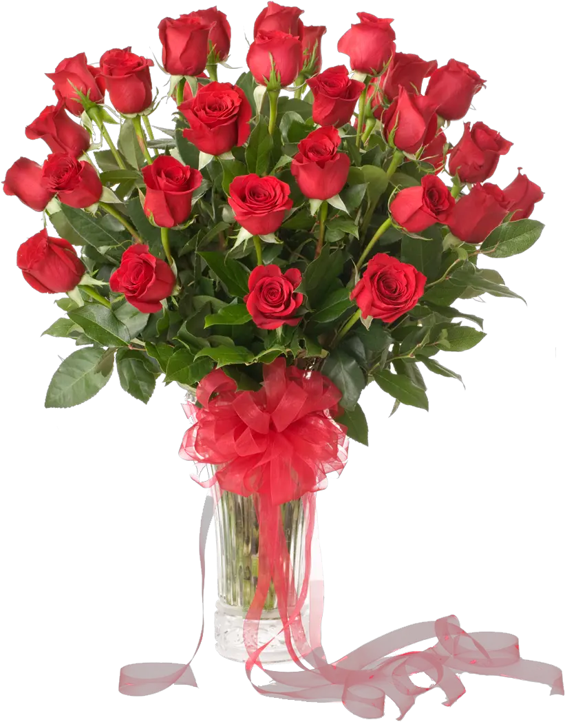 50 Red Roses Arranged In Vase Grandparent Happy Anniversary Grandma And Grandpa Png Roses Transparent