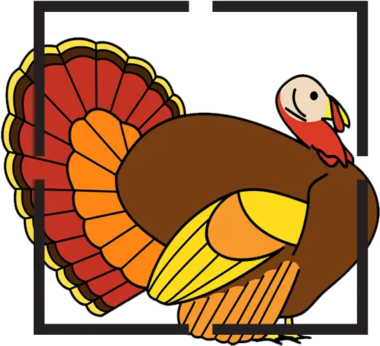 Turkey Color Turkey Png Turkey Clipart Transparent Background