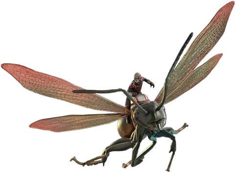 Marvel Ant Ant Man Flying Ant Png Antman Png