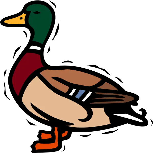 Download Mallard Duck Clipart Png Image Duck Clipart Duck Clipart Png