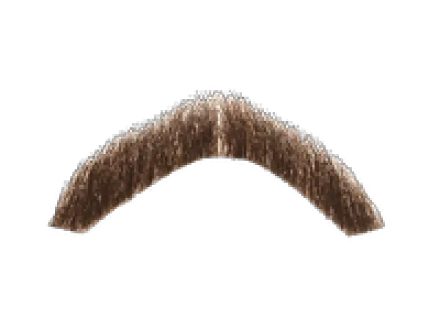 Moustache Png Transparent Images Mustache Png Mustache Png Transparent