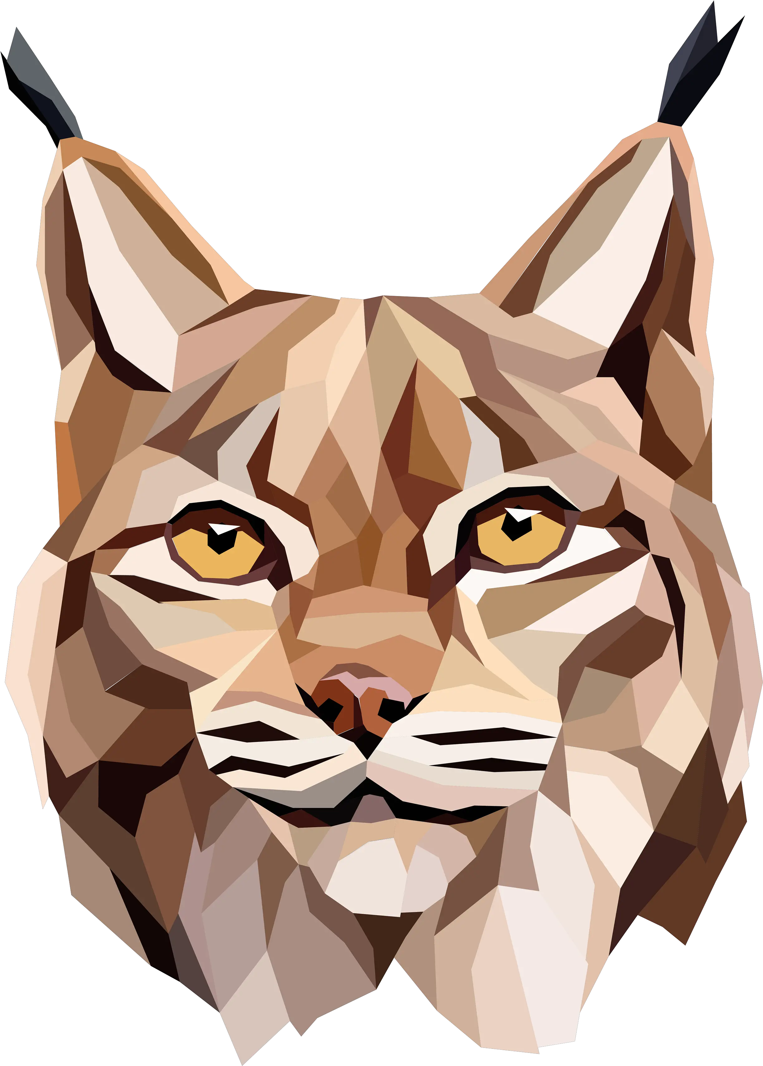 Lynx Vector Geometric Picture Geometric Lynx Png Lynx Png