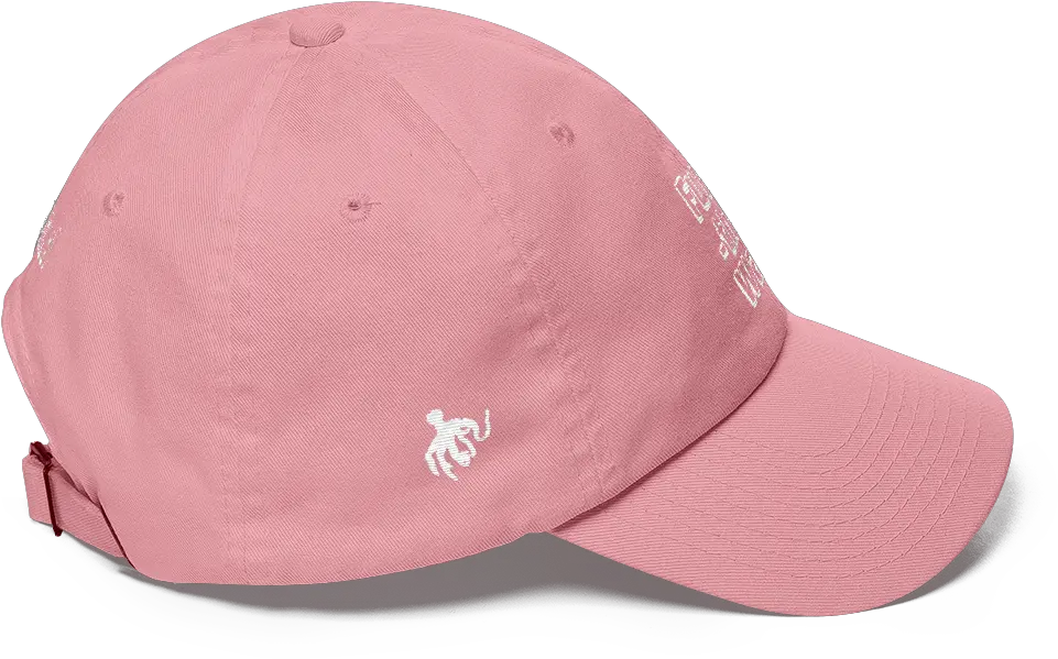 Funk The Wall Cool Dad Hat Hat Png Dad Hat Png