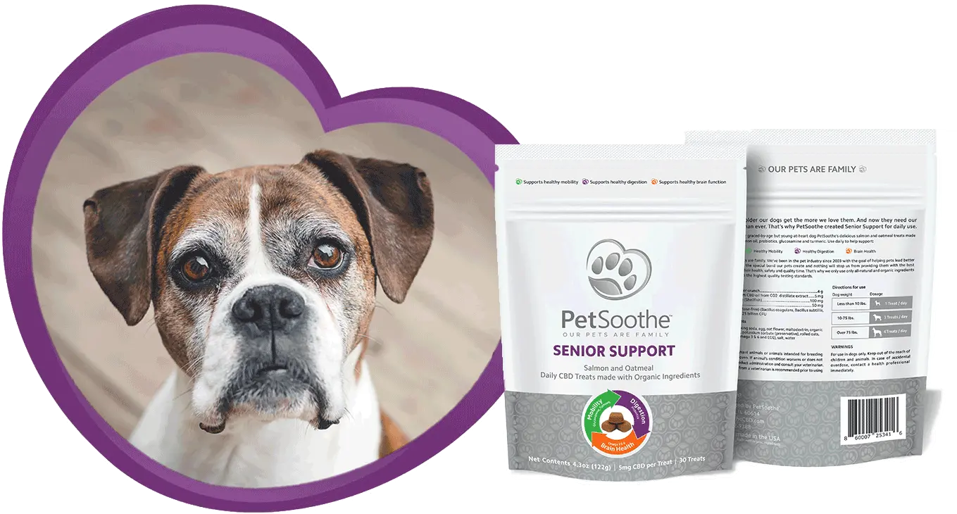 Home Petsoothe Png Boxer Dog Icon