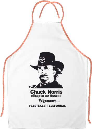 Chuck Norris Pokemons Png