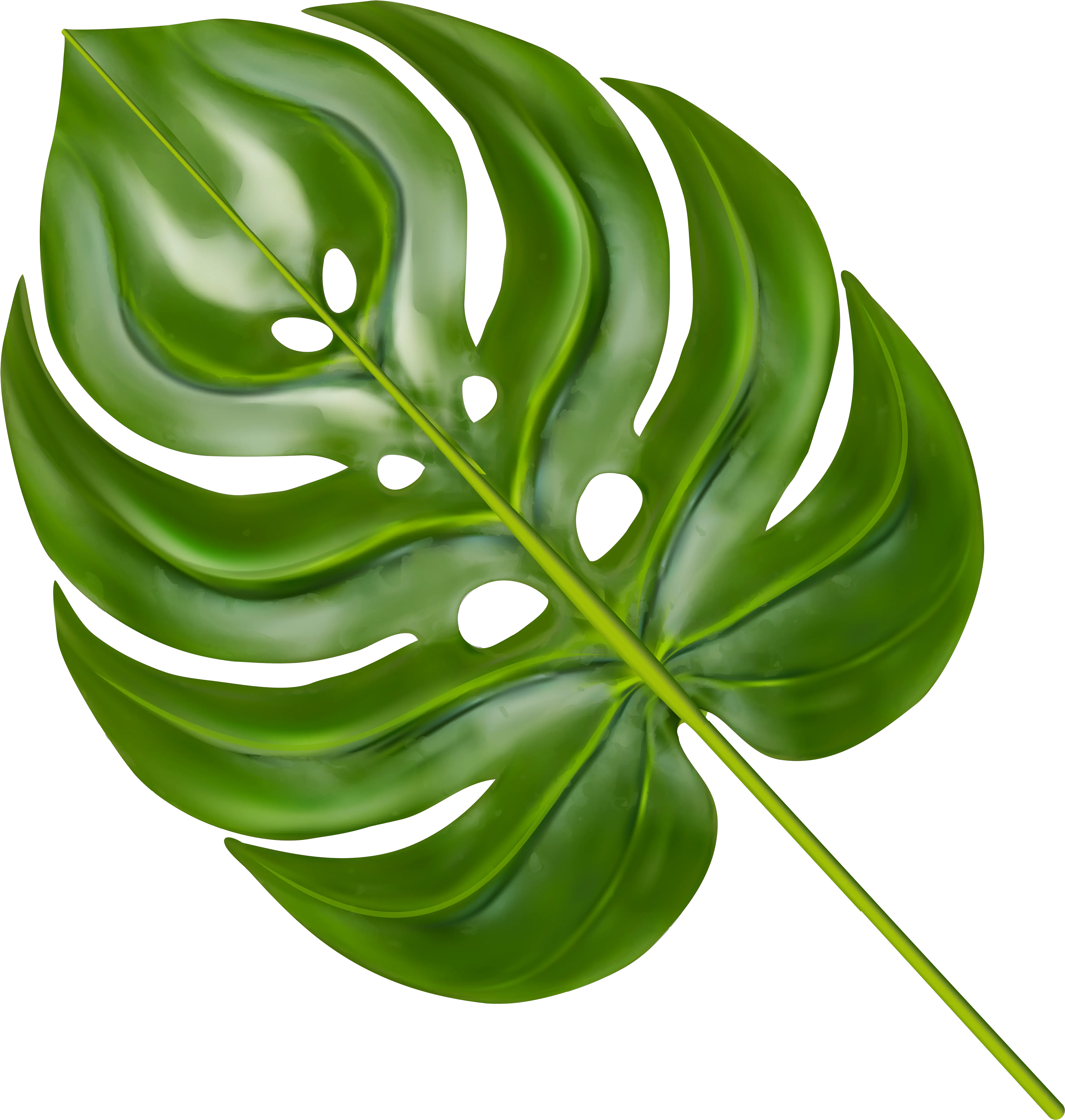 Monstera Leaf Clipart Transparent Background Monstera Leaf Png Leaf Transparent Background png