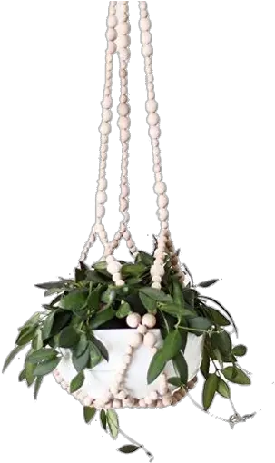 Modern Beaded Hanging Planter Beaded Hanging Planter Png Hanging Plants Png