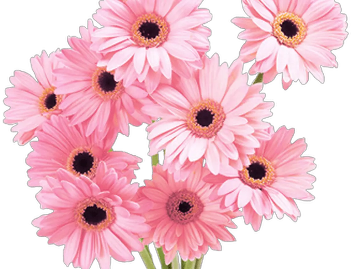 Download Flowers Pink Tumblr Vaporwave Aesthetic Flower Flower Pink Hd Png Flower Tumblr Png png