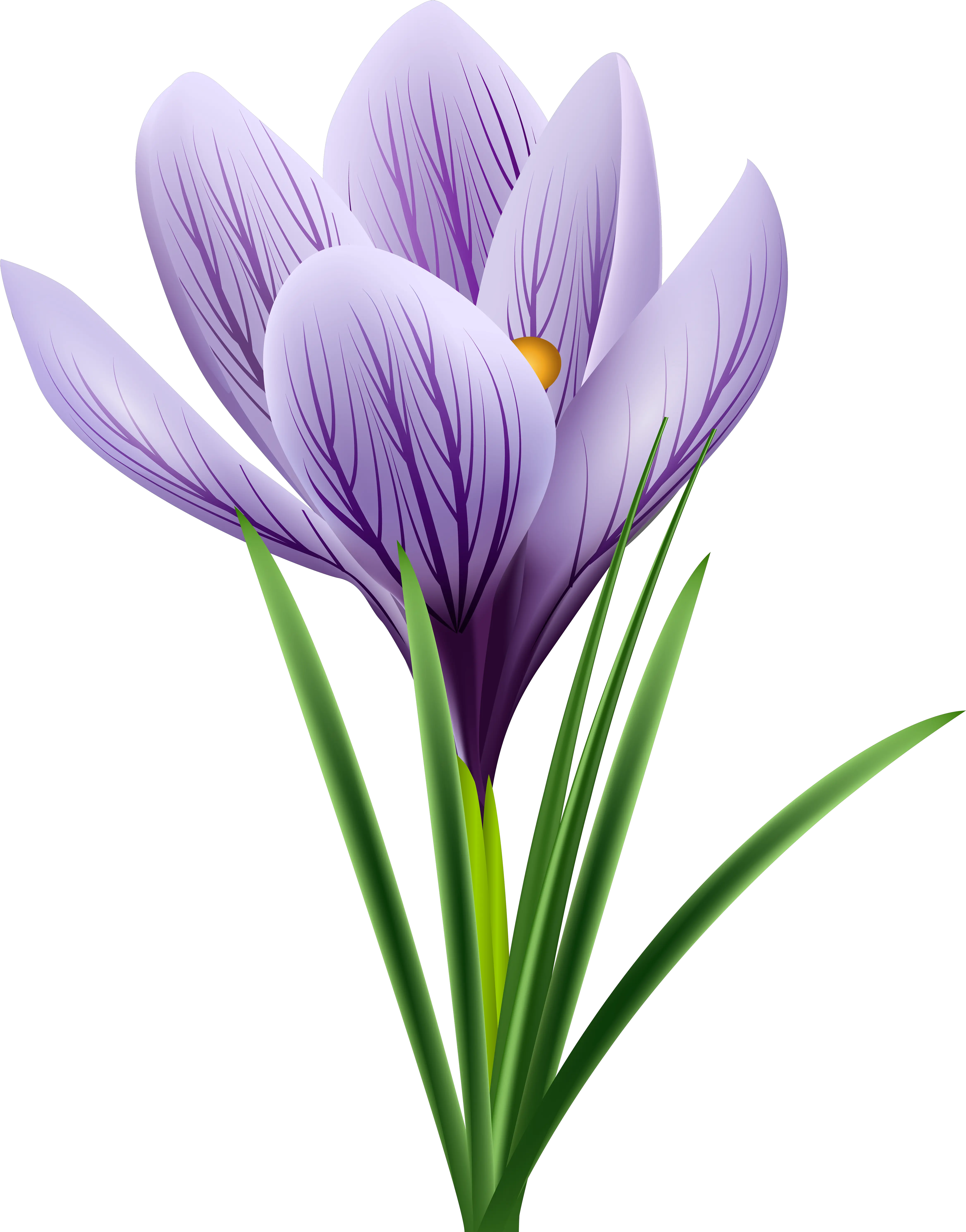 Free Crocus Cliparts Download Clip Art Crocus Png Violets Png