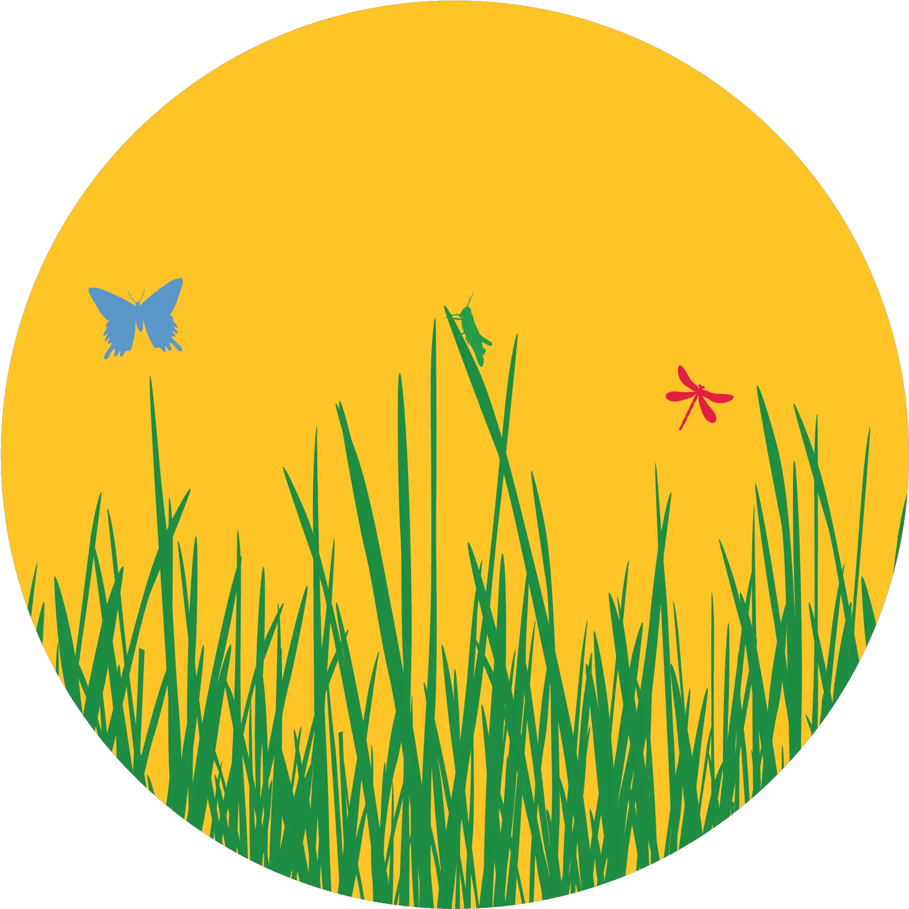 Kingman Heritage Islands Family Day Language Png Meadow Icon