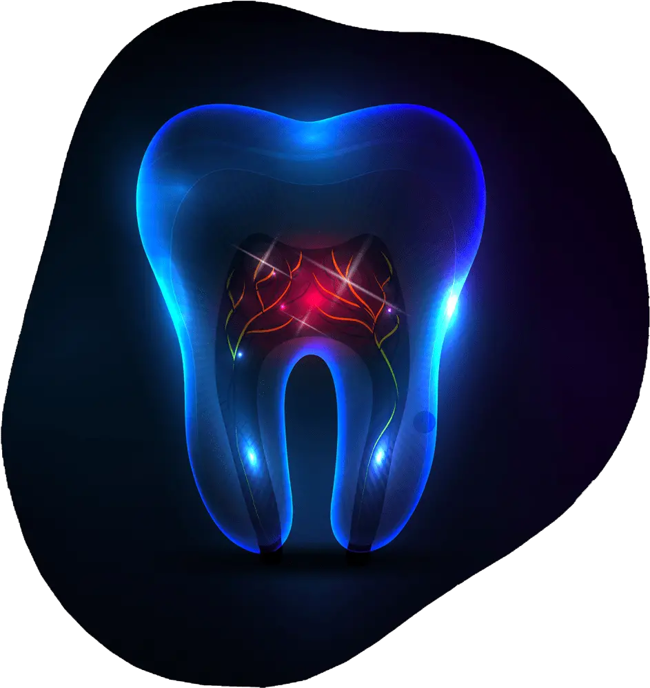 Root Canal Therapy Toothville Family Dentistry Nw Heart Png Root Cause Icon