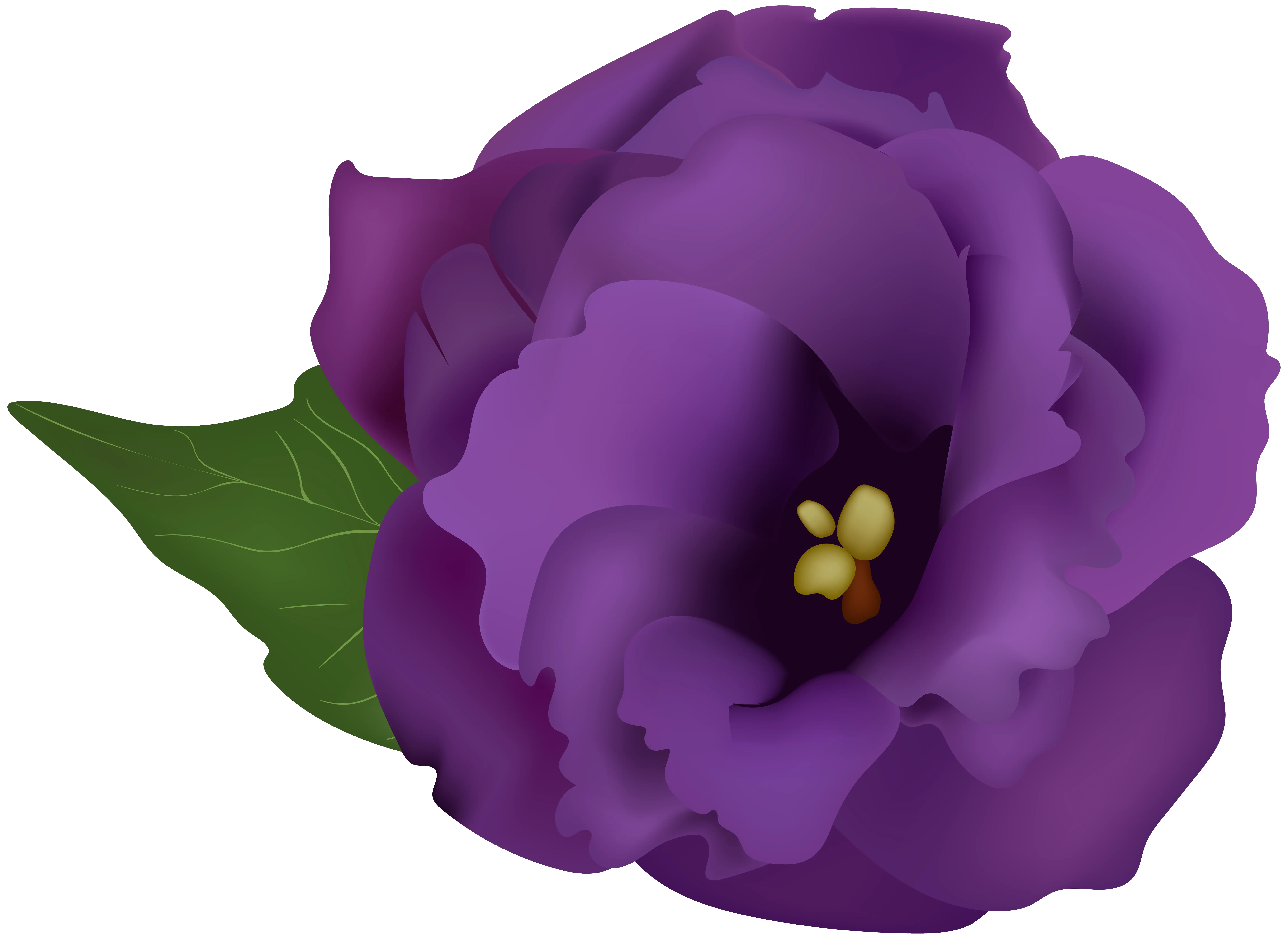 Purple Flowers Clipart Free Download Best Purple Gladiolus Clipart Png Purple Flowers Png