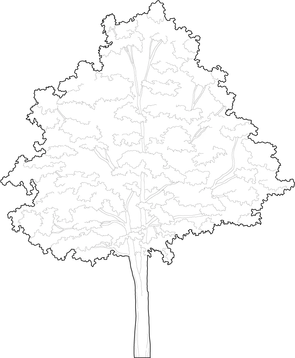 Trees Dwg Cad Blocks Free Download Pimpmydrawing Tree Ai Vector Png Wagon Wheel Icon In Autocad