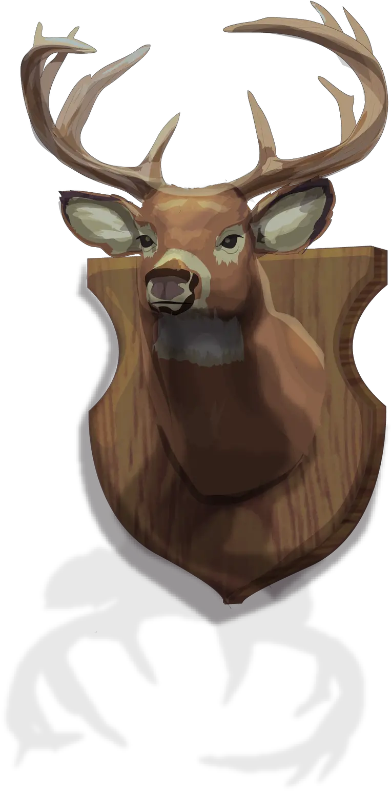 Download Hd Graphic Of A Mounted Buck Head With Horns Elk Png Buck Png