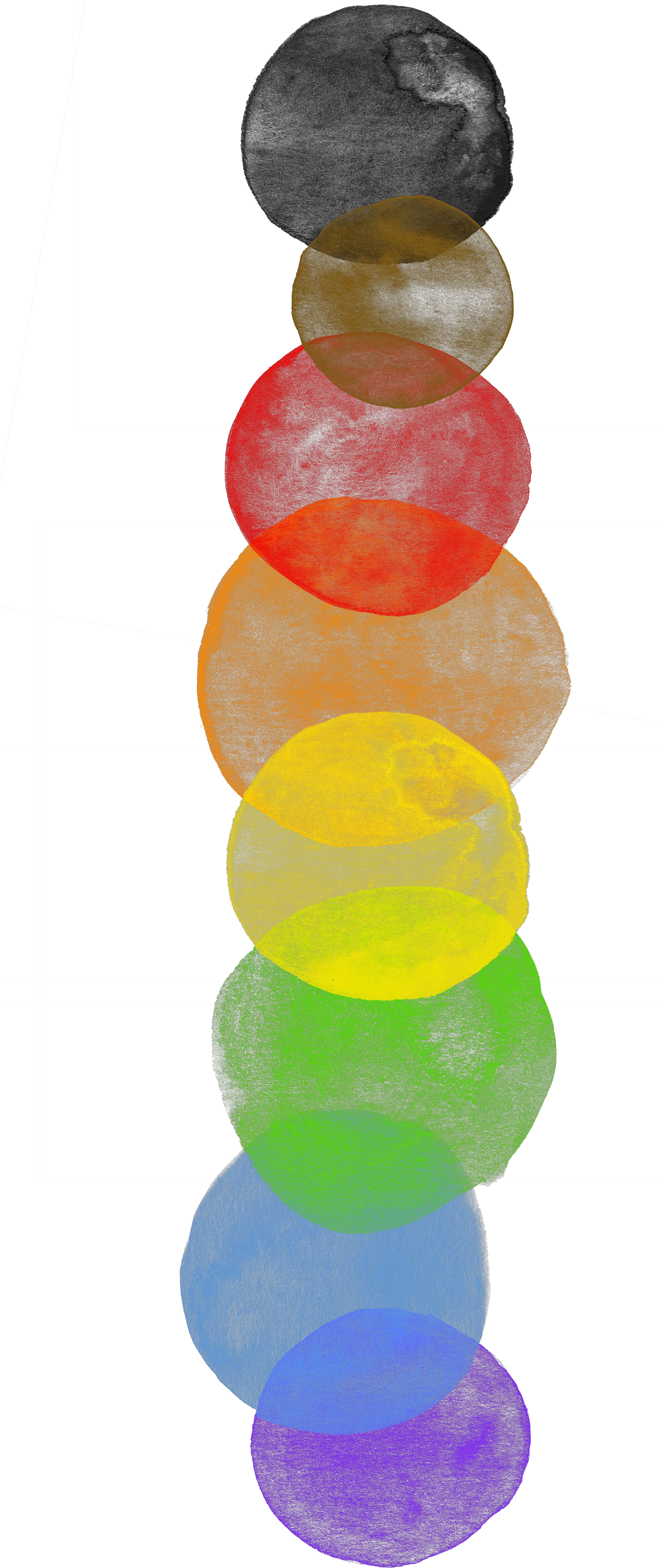 Rainbow Flag Rainbowpride Socialjustice Circle Rainbow Flag Png Pride Flag Png