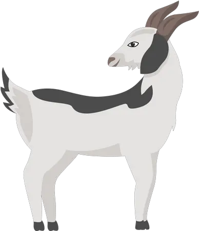 Best Free Background Spot Illustration Download In Png Animal Figure Goat Icon Png