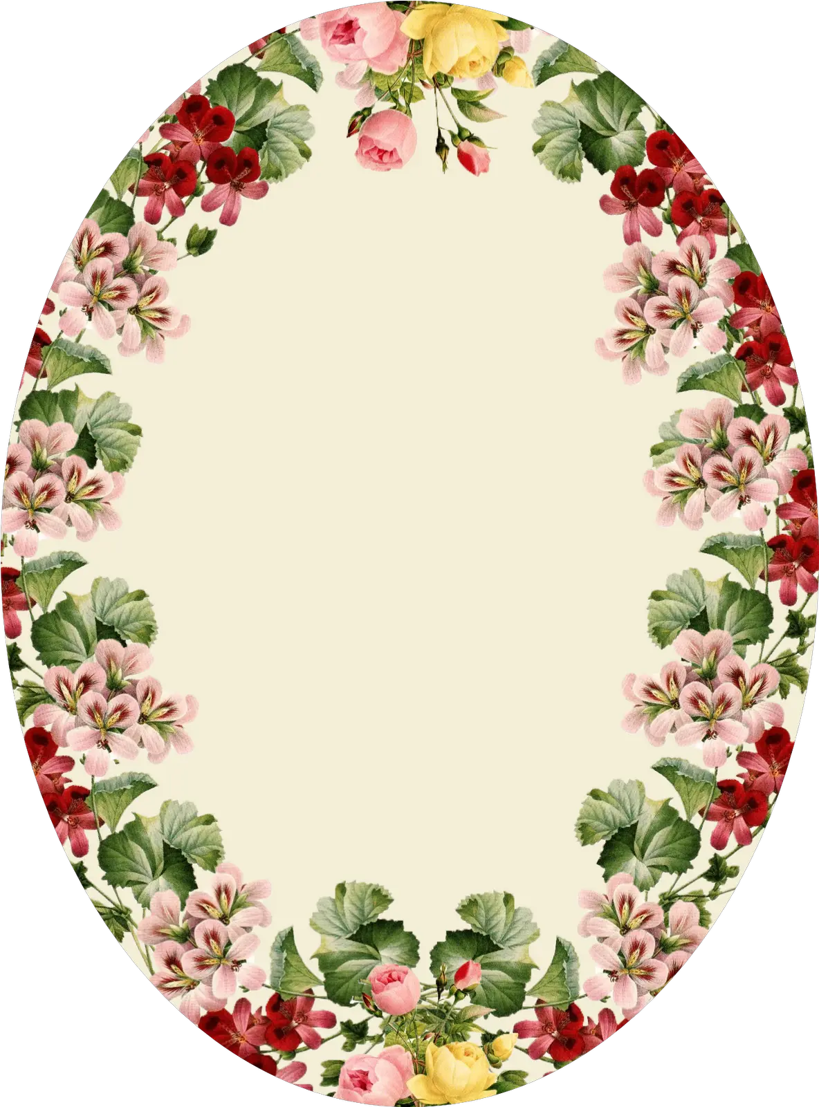 Oval Shape Flower Frame Png Transparent Cartoon Jingfm Epistle To The Ephesians 4 25 Oval Border Png