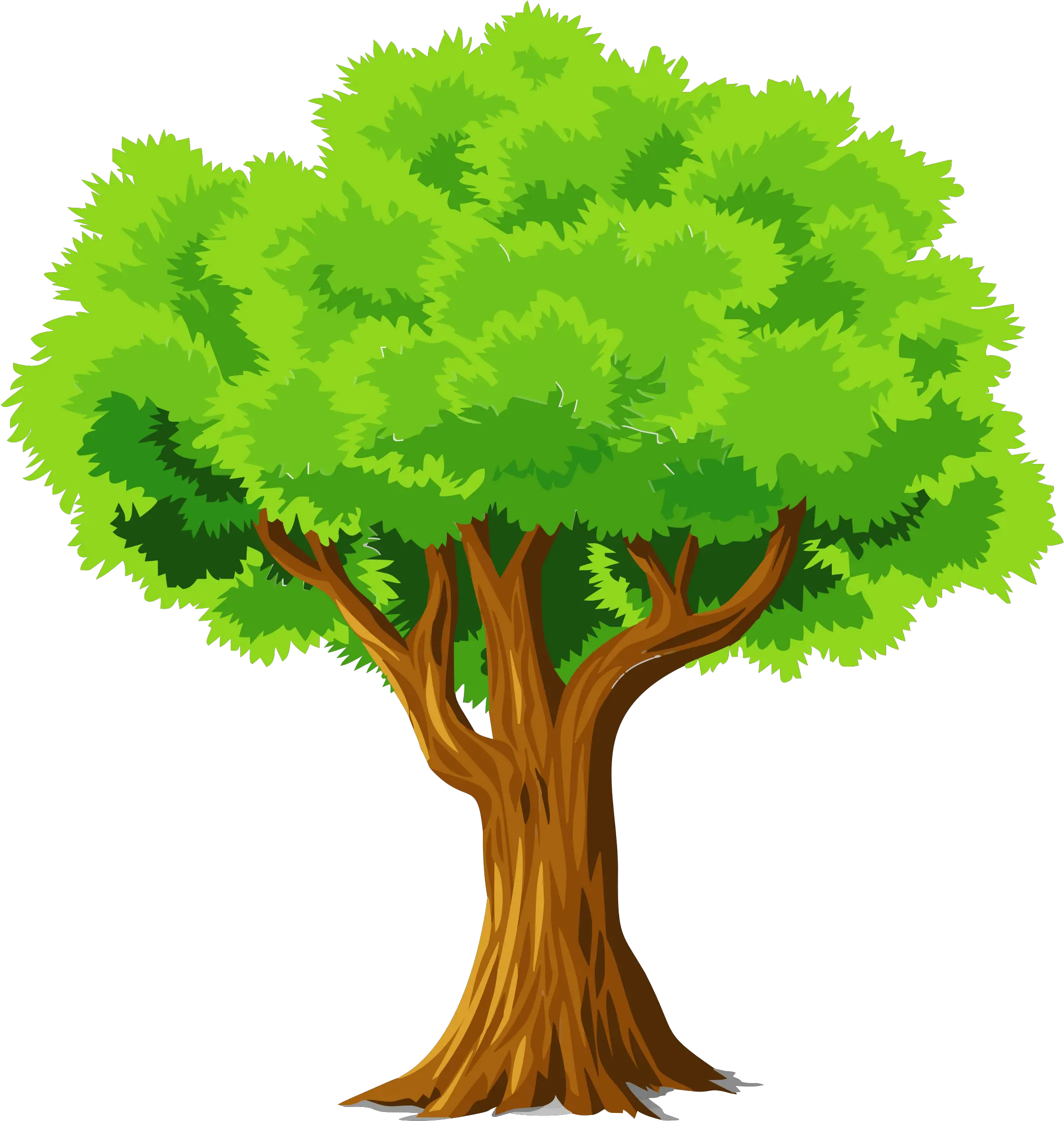 Colorful Natural Tree Vector Clipart Tree Clipart Full Tree Clipart Png Tree Vector Png png