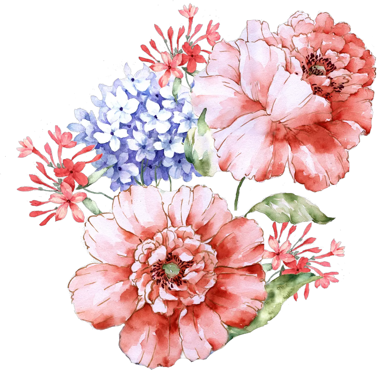 Peony Png Watercolor Peony Wallpaper Watercolor Painting Flowers Illustration Vintage Png Peony Png