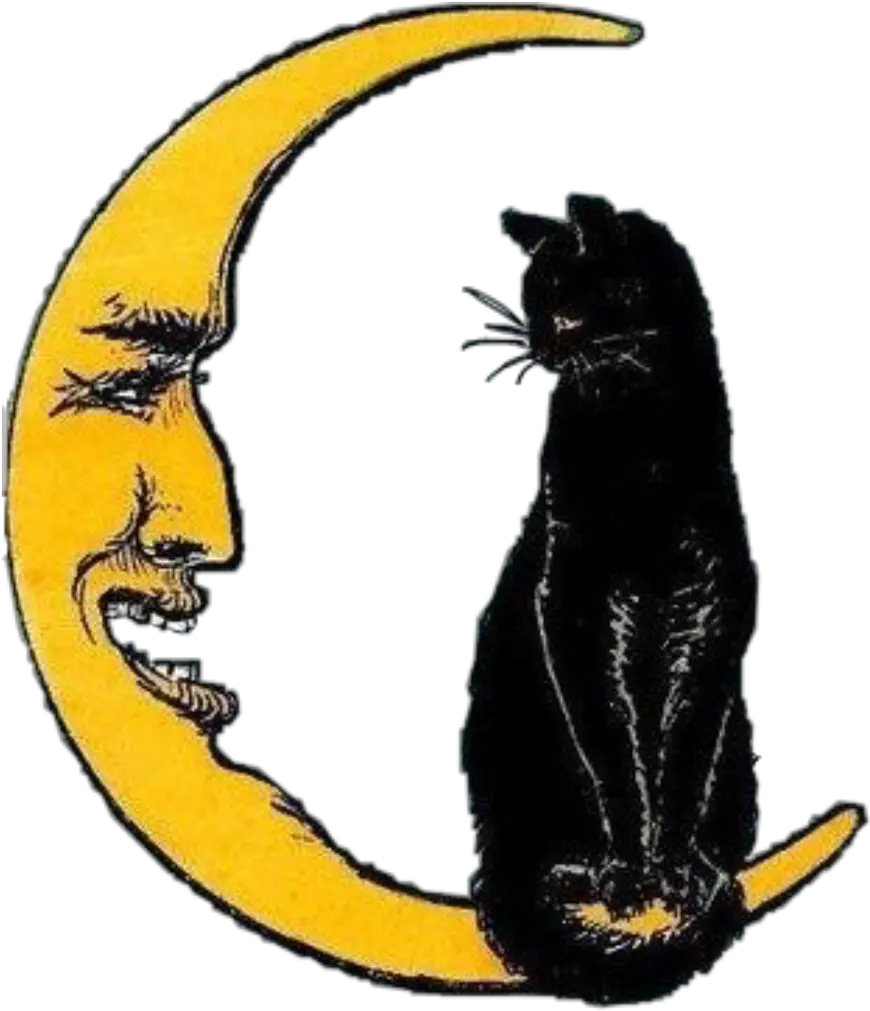 Moon Cat Halloween Vintage Aesthetic Witch And Cat Vintage Halloween Cat Clipart Png Cat Png Transparent png