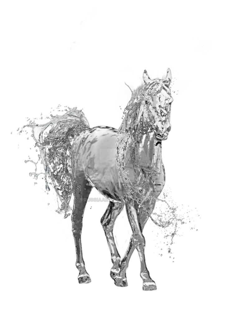 Download Water Horse Png Transparent Water Water Horse Png Water Transparent Background png