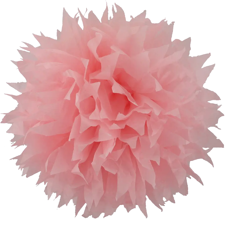 Pom Png 5 Image Blank Price Tag Png Transparent Pom Pom Png