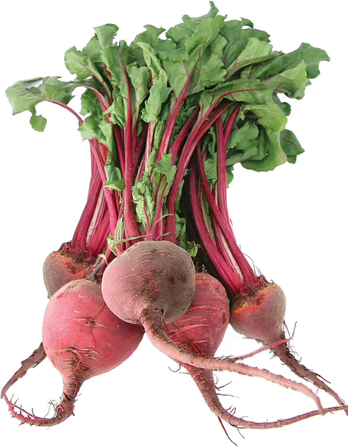 Download Beet Png Image For Free Beets With Transparent Background Beet Png