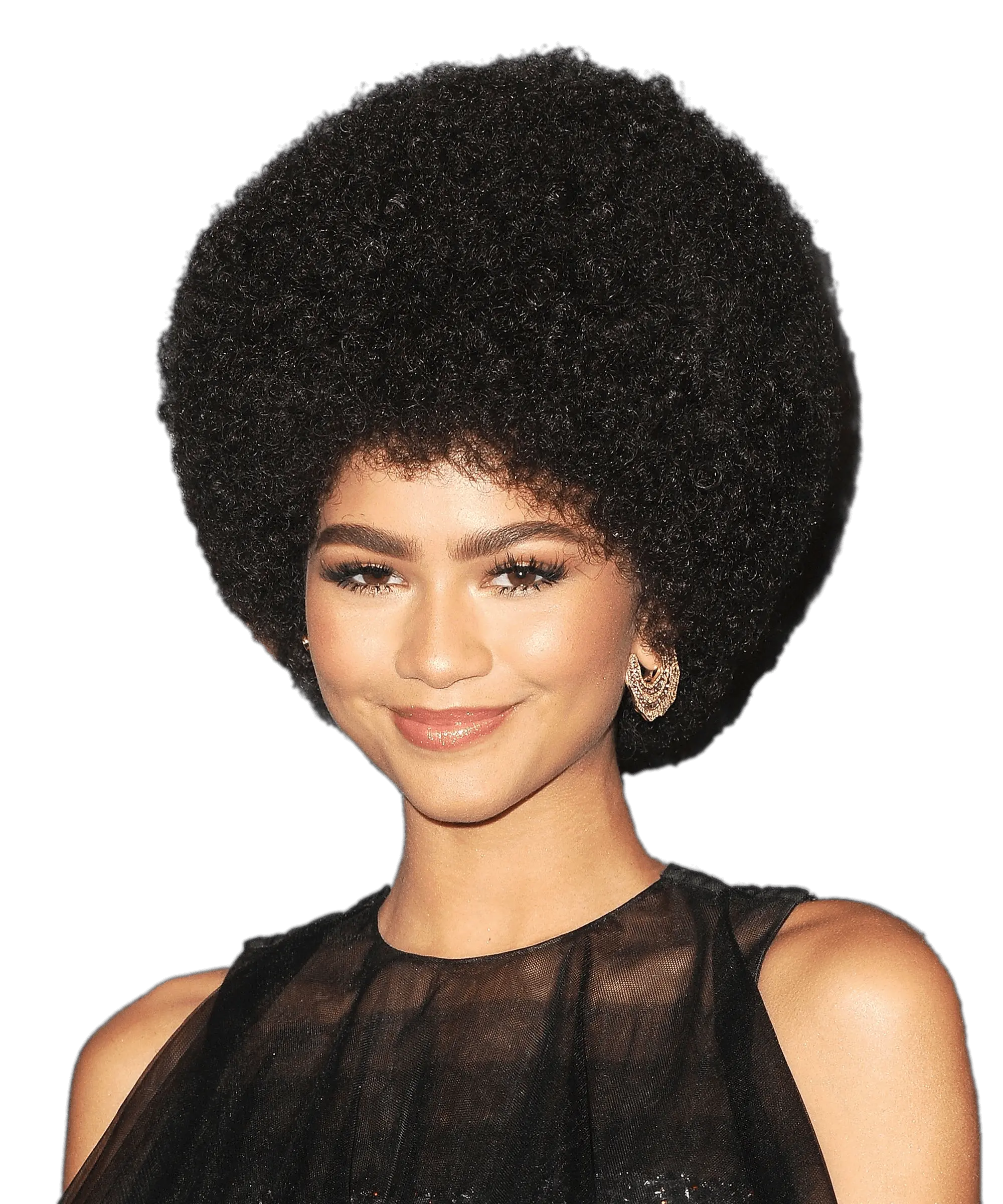 Meghan Markle With An Afro Natural Hair Afro Hairstyles Png Afro Png