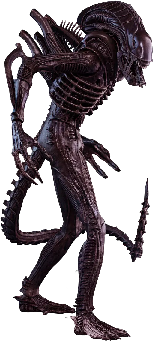 Aliens Xenomorph Alien Figure 1 6 Png Xenomorph Transparent