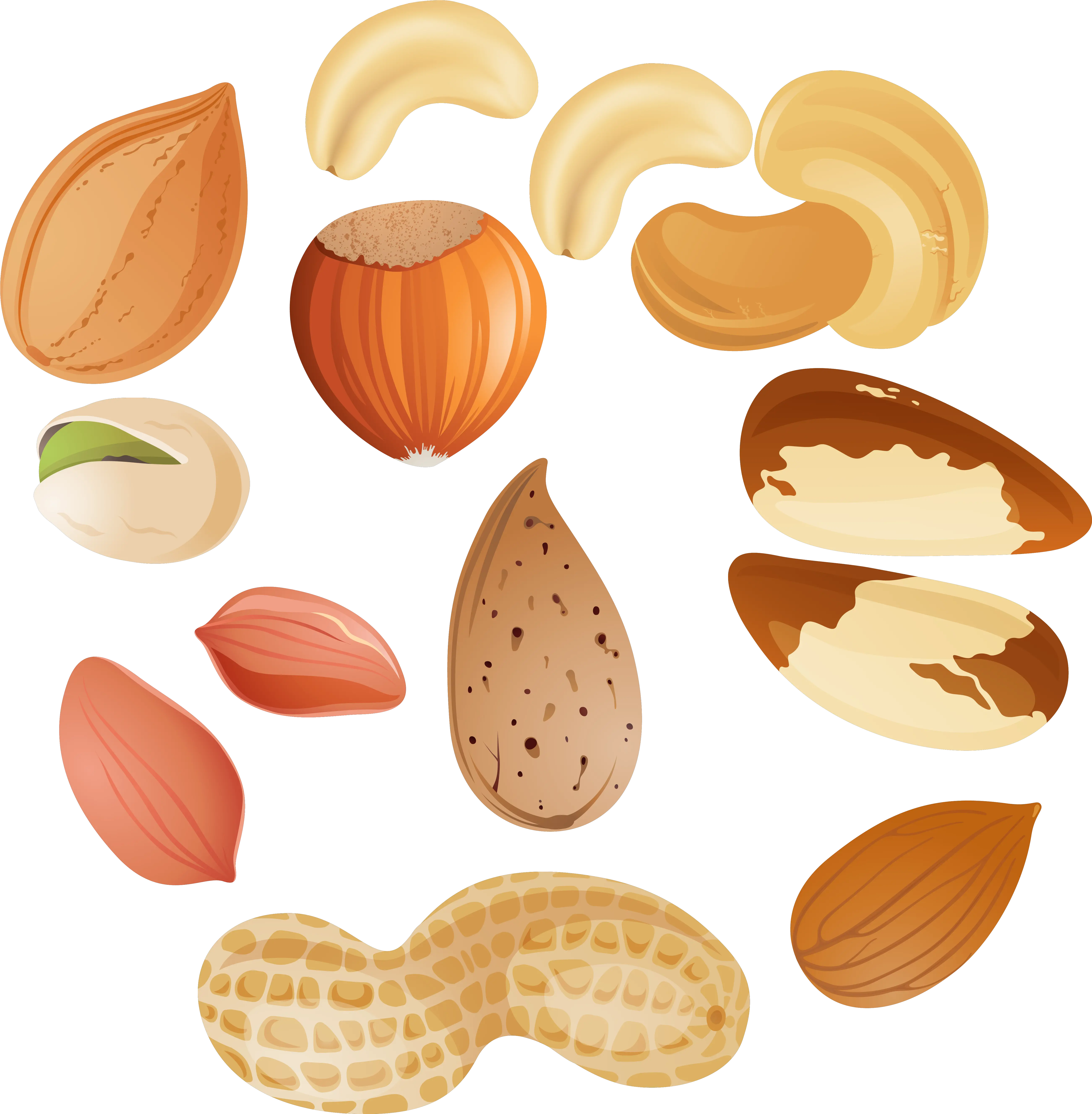 Free Almond Transparent Download Transparent Nuts Clipart Png Almond Transparent