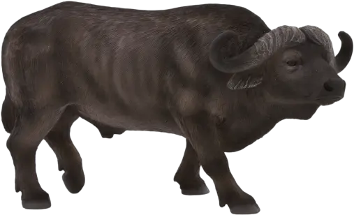 Transparent African Clip Art Black African Buffalo Toy Png Buffalo Png