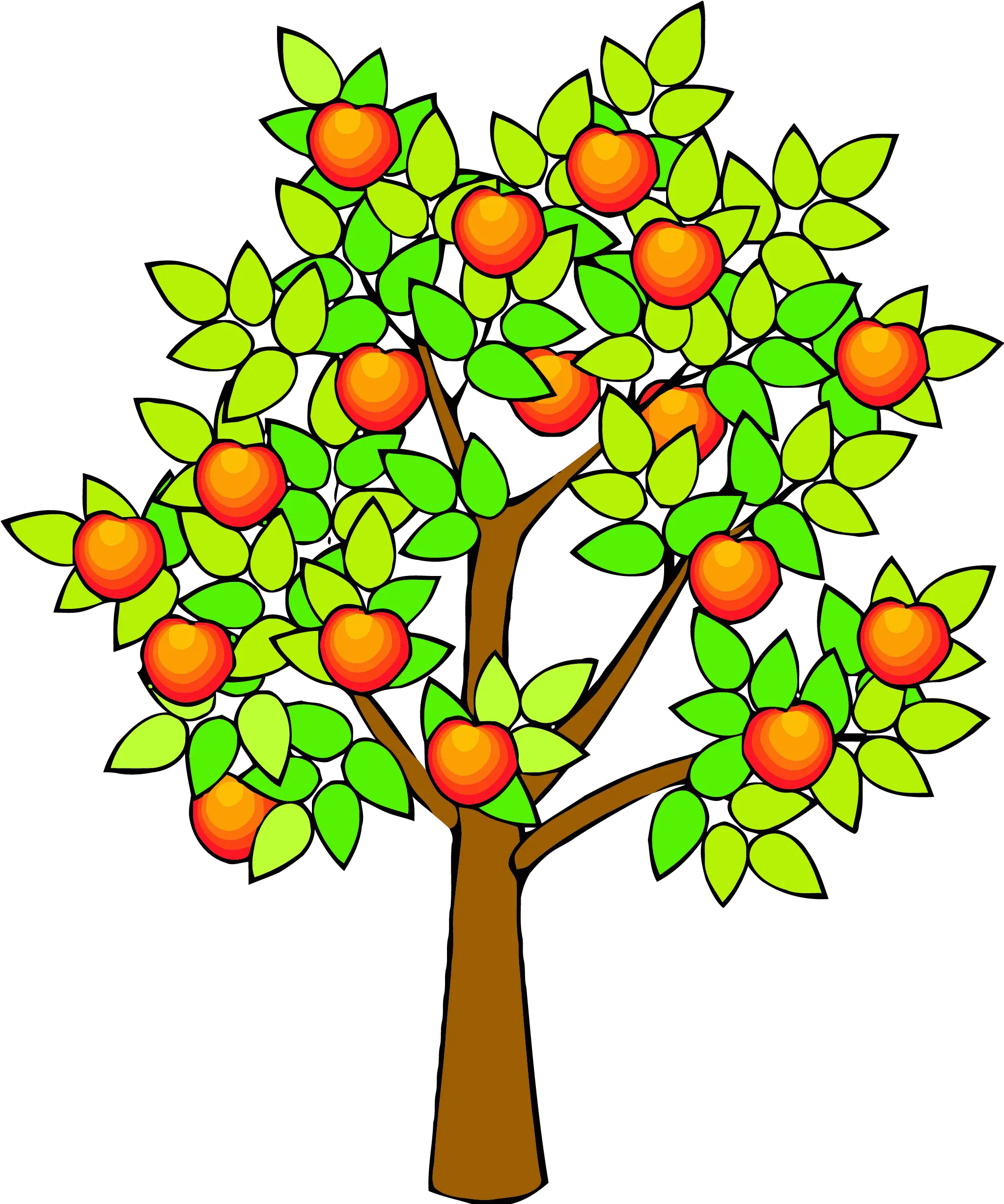 Spring Green Tree Clipart Png Fruit Tree Clip Art Fruits Tree Clipart Png Fruit Tree Png png