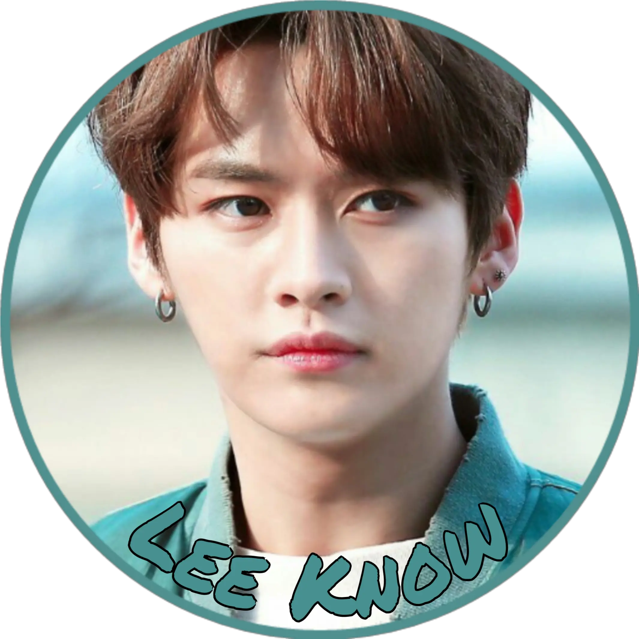 Leeknow Straykids Kpop 291517132027211 By Psychox Png Vixx Icon