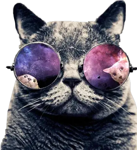 Galaxymagickitten Profiles Cat In Heat Care Animals Cat Png Cat Pupil Icon