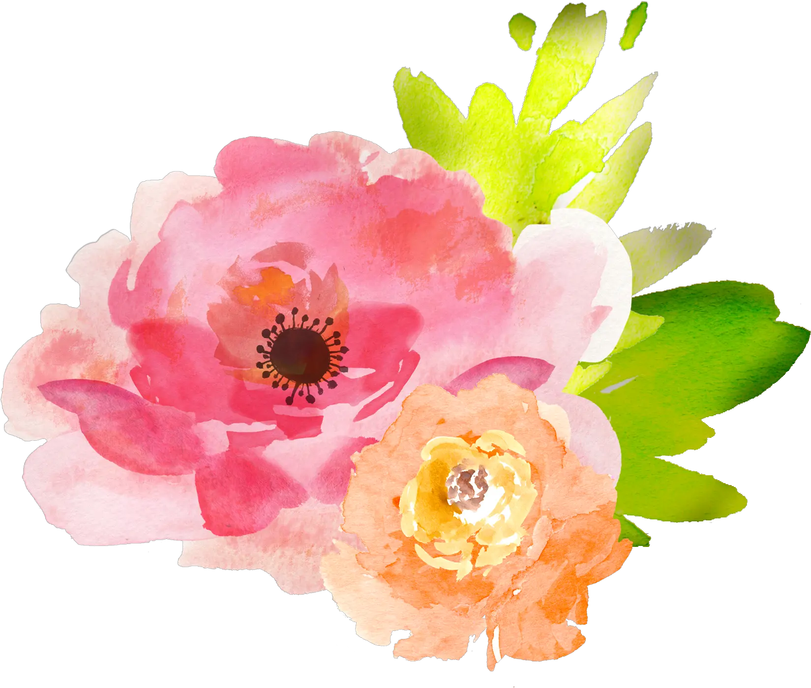Watercolor Peonies Png Picture Watercolor Free Flower Clipart Peonies Png