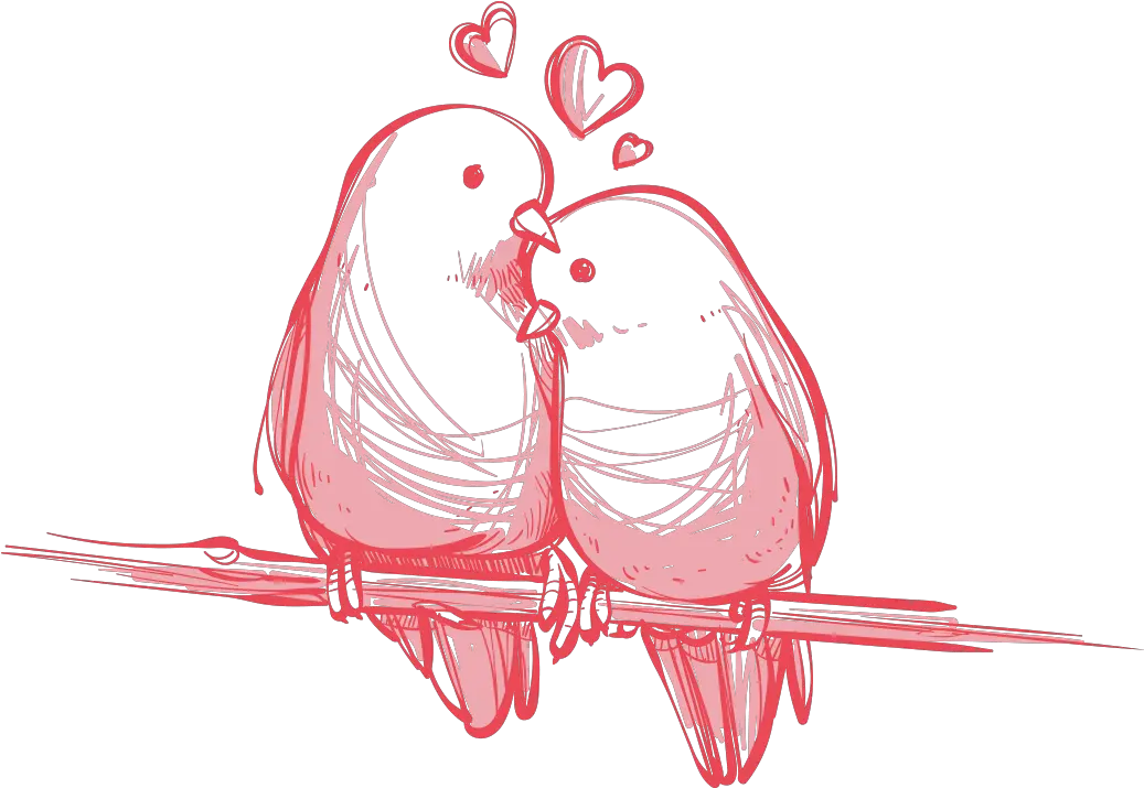 Downloads Wedding Youtube Birds Hq Love Birds Day Png Birds Png png