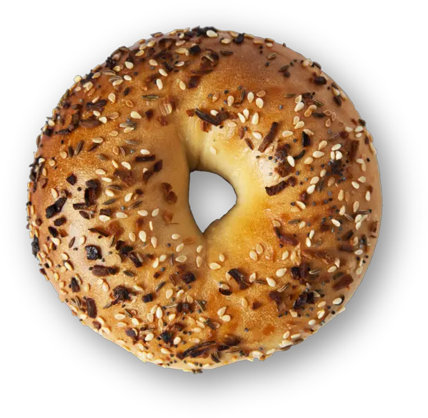 Bagels U2014 Troubadour Bakery Doughnut Png Bagel Png