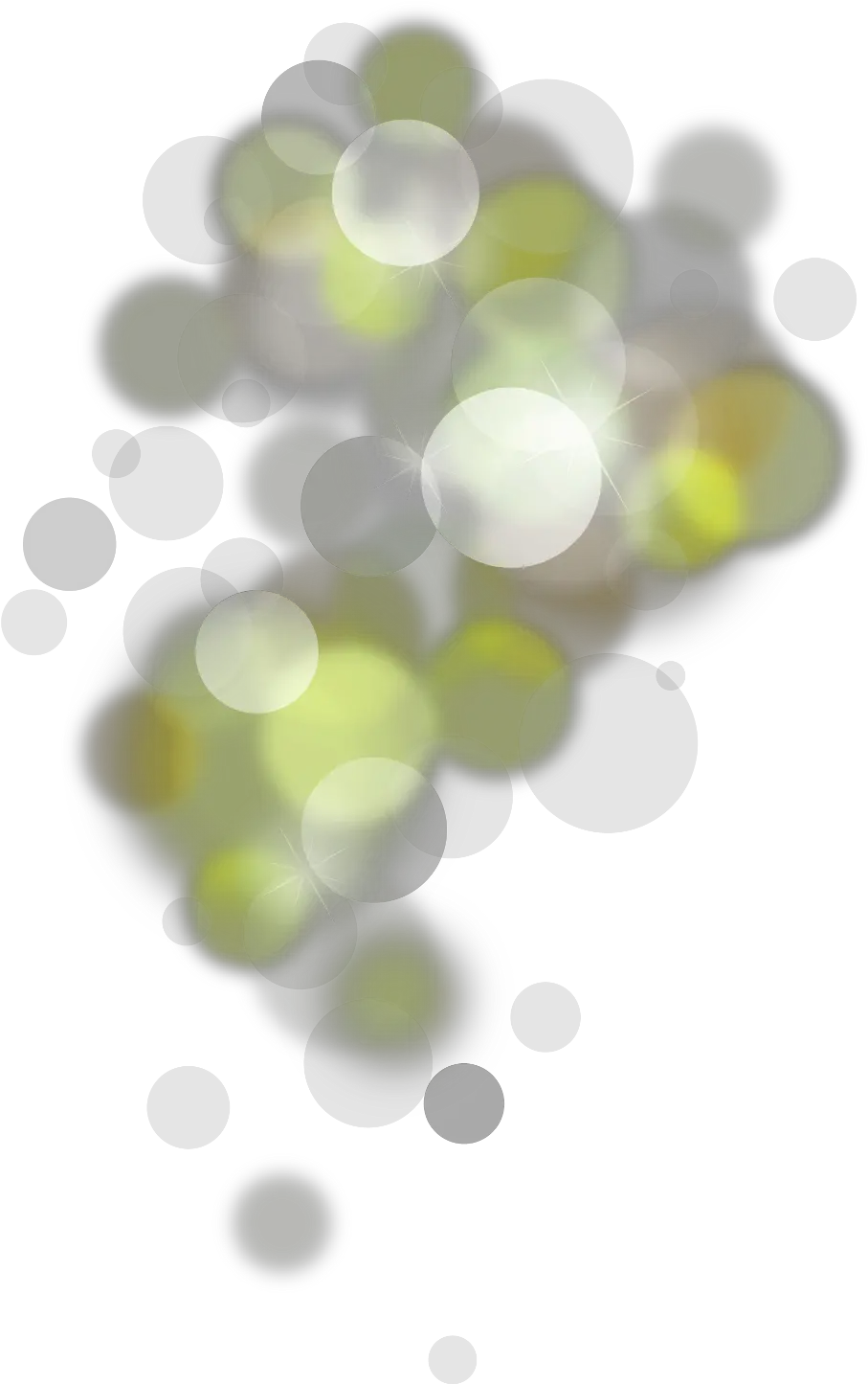 Picture Royalty Free Library Ftestickers Fxeffects Bokeh Circle Png Bokeh Png
