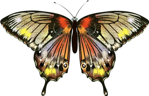 Png Kelebek Görselleri Butterfly Butterfly 500x324 Swallowtails Png Butterfly
