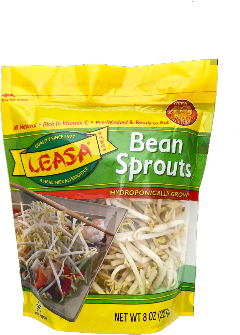 Bean Sprouts U2014 Leasa Mung Bean Sprout Png Sprout Png