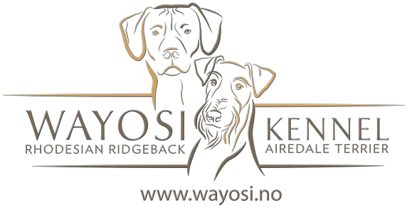 Kennel Wayosi Logo For Dog Kennel Png Dog Logos