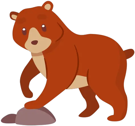 Bear Animal Cartoon Imagen De Animales Png Oso Png
