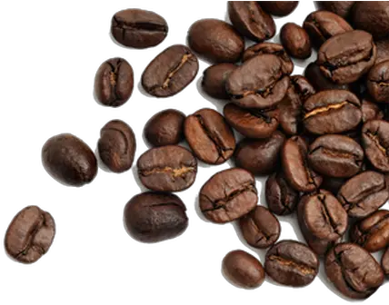 Fullscreen Page Wixtest Transparent Coffee Bean Png Coffee Bean Transparent
