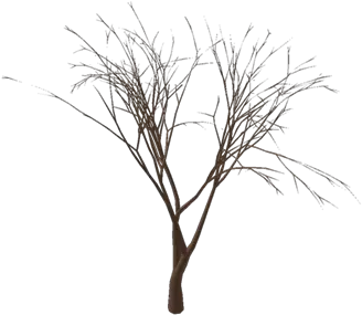 Realistic Halloween Tree Free Roblox Tree Png Halloween Tree Png