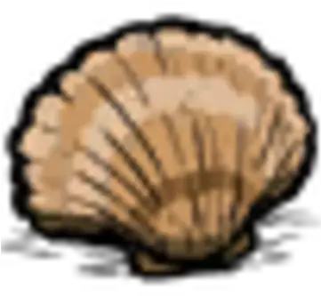 Seashell Donu0027t Starve Game Wiki Fandom Starve Png Seashell Transparent