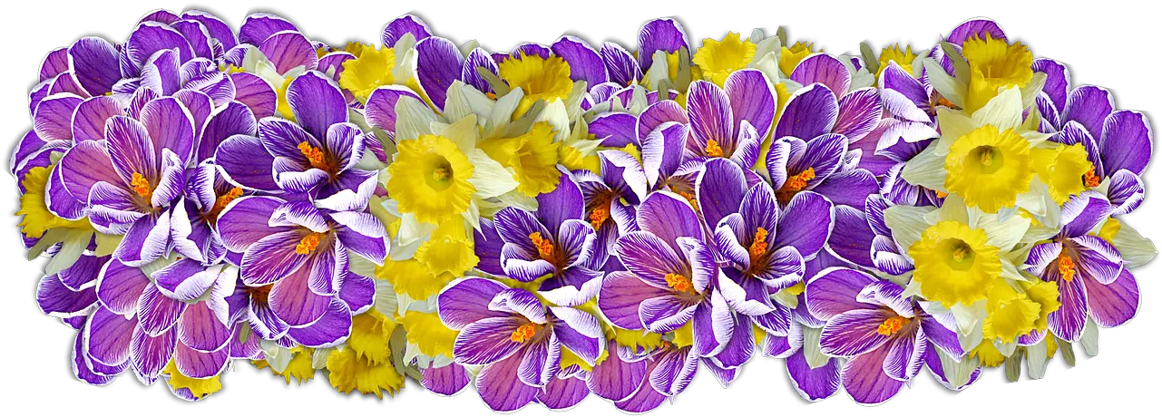 Flowers Decoration Line Of Png Decor