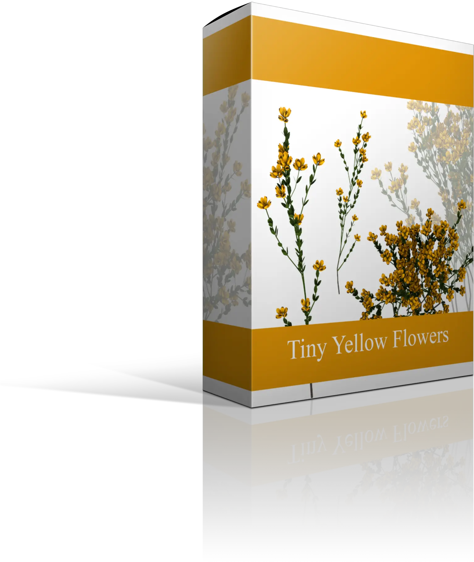 P53 I55 W2560 Camomile Png Flower Overlay Png